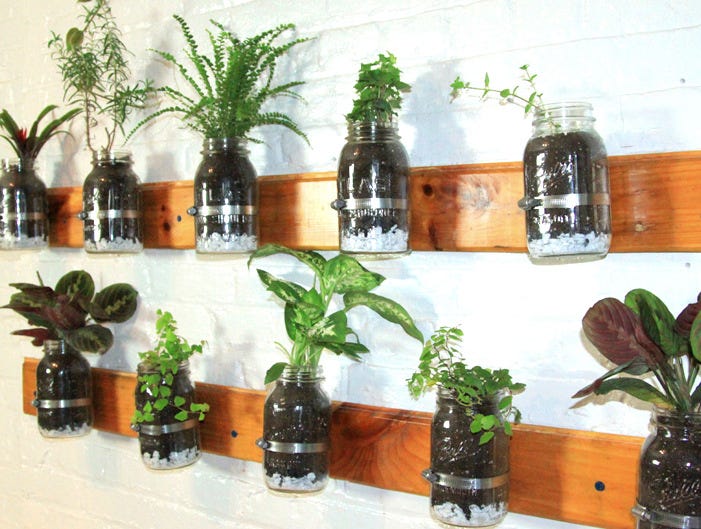 6 Creative hanging gardens that you can make yourself