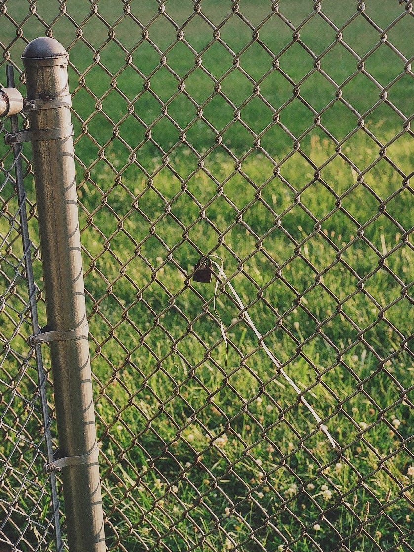 Photo of small lock with white ribbon attached on a chain link fence at the edge of a green field on a summer day.