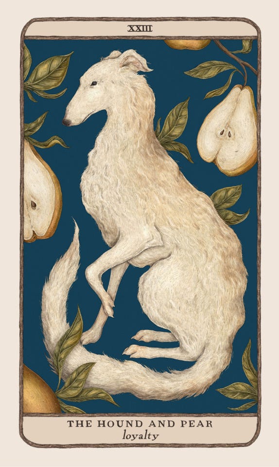 A picture of a white bordered card. In the centre sits a white hound dog surrounded by yellow pears in front of a dark blue background.