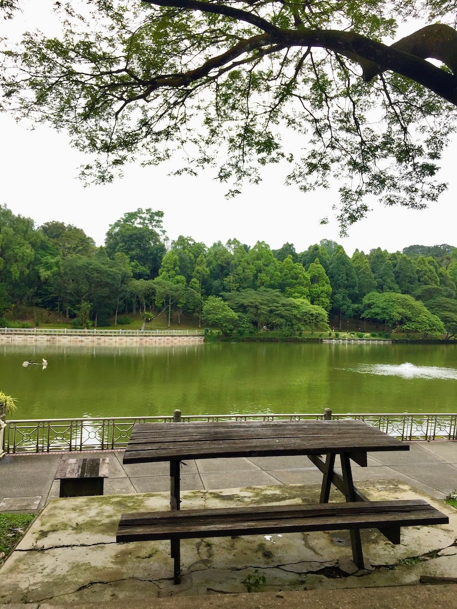 A quiet scene at a park, with lakeview and a table and benches 