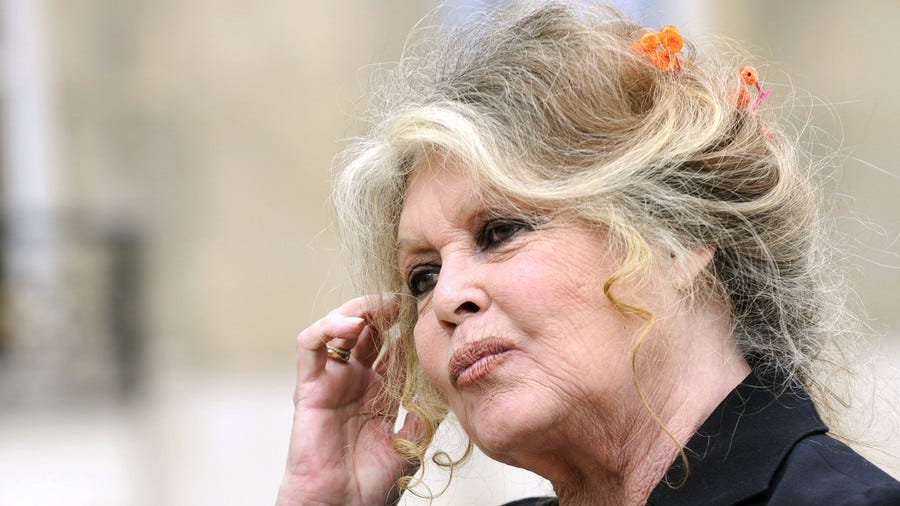 'I didn’t fight against French Algeria to accept an Algerian France': Bardot slams modern-day France