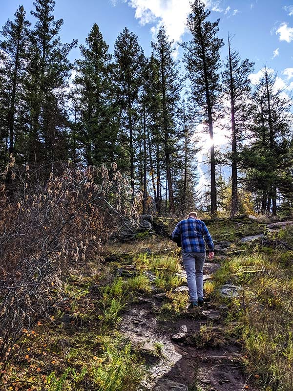 man in blue plaid shirt walks up a steep trail through a grassy and rocky area towards a stand of ponderosa pines