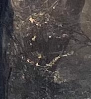 Little sparkles of light on branches in a dark, dismal swamp. The sparkles happen to form a smiley face.