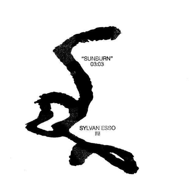 Sunburn - Single by Sylvan Esso | Spotify