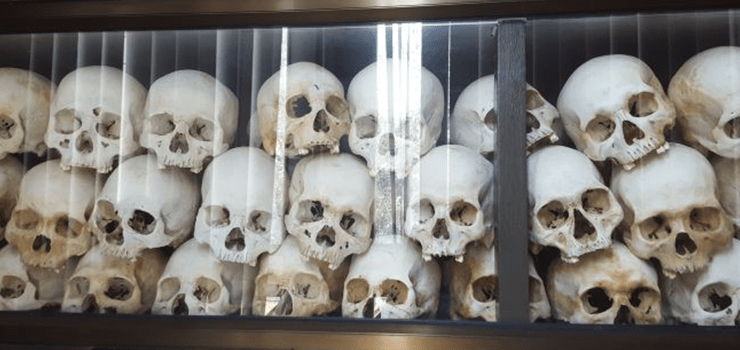 skulls in showpiece