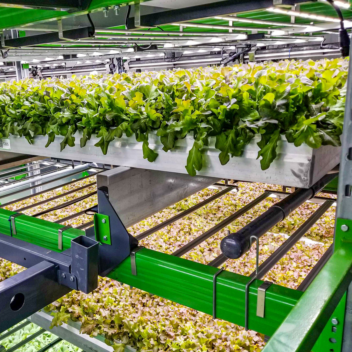 Indoor farming company Bowery raises $300M | TechCrunch