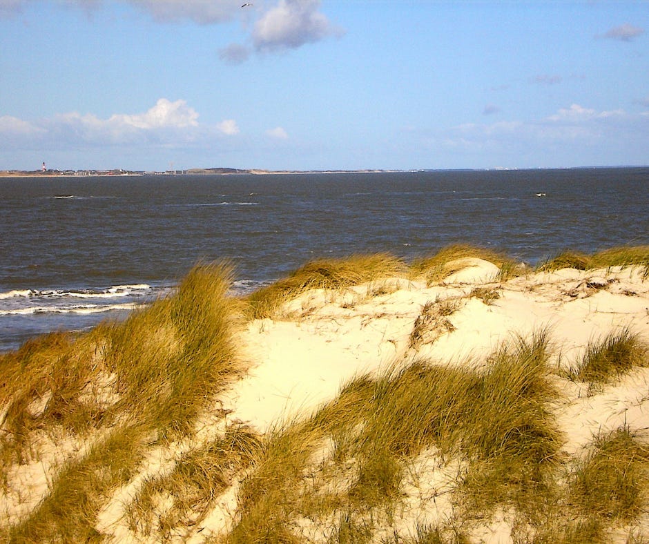 Sand dunes and the sea