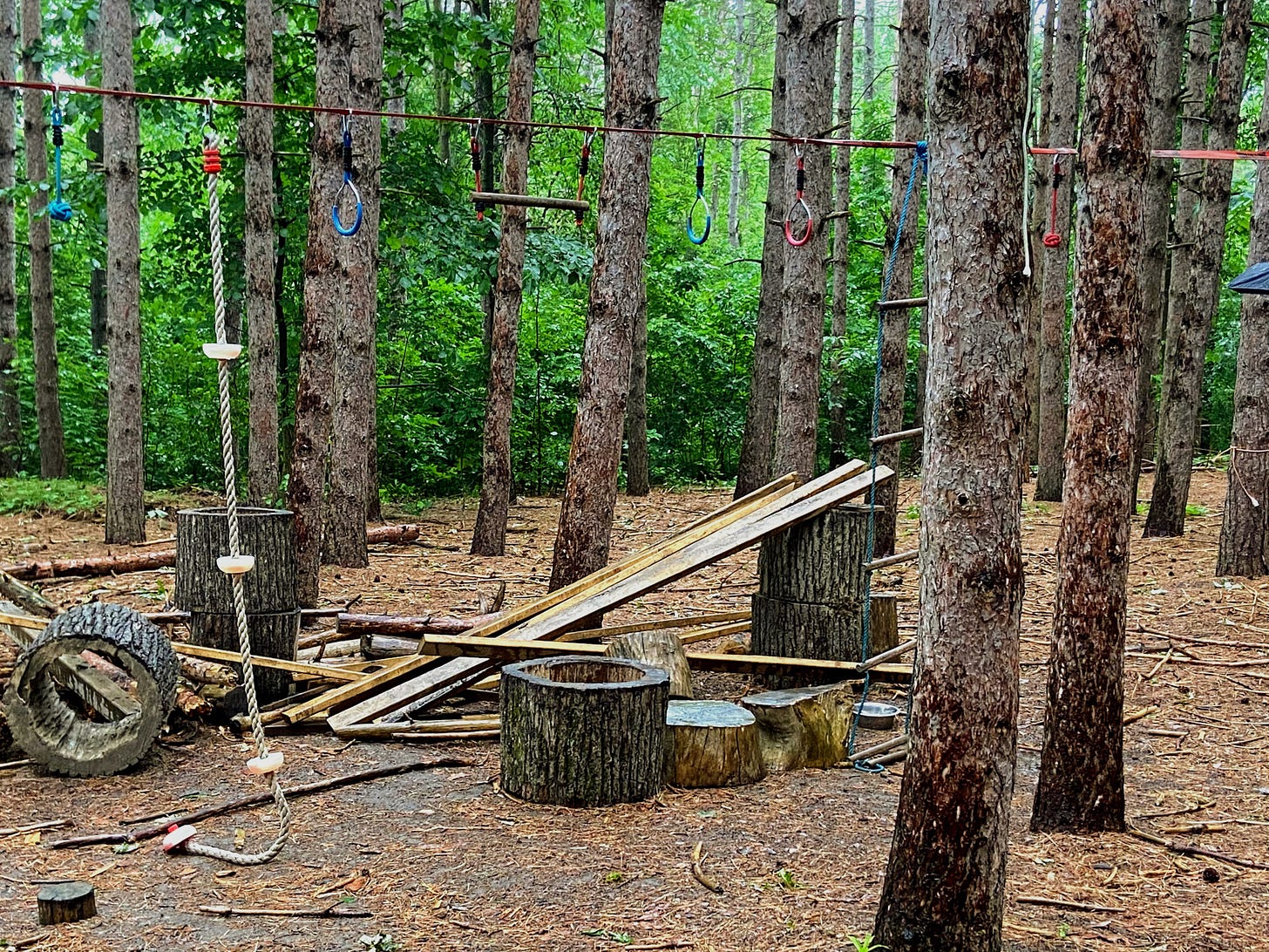 Trees with climbing and swinging equipment strung between