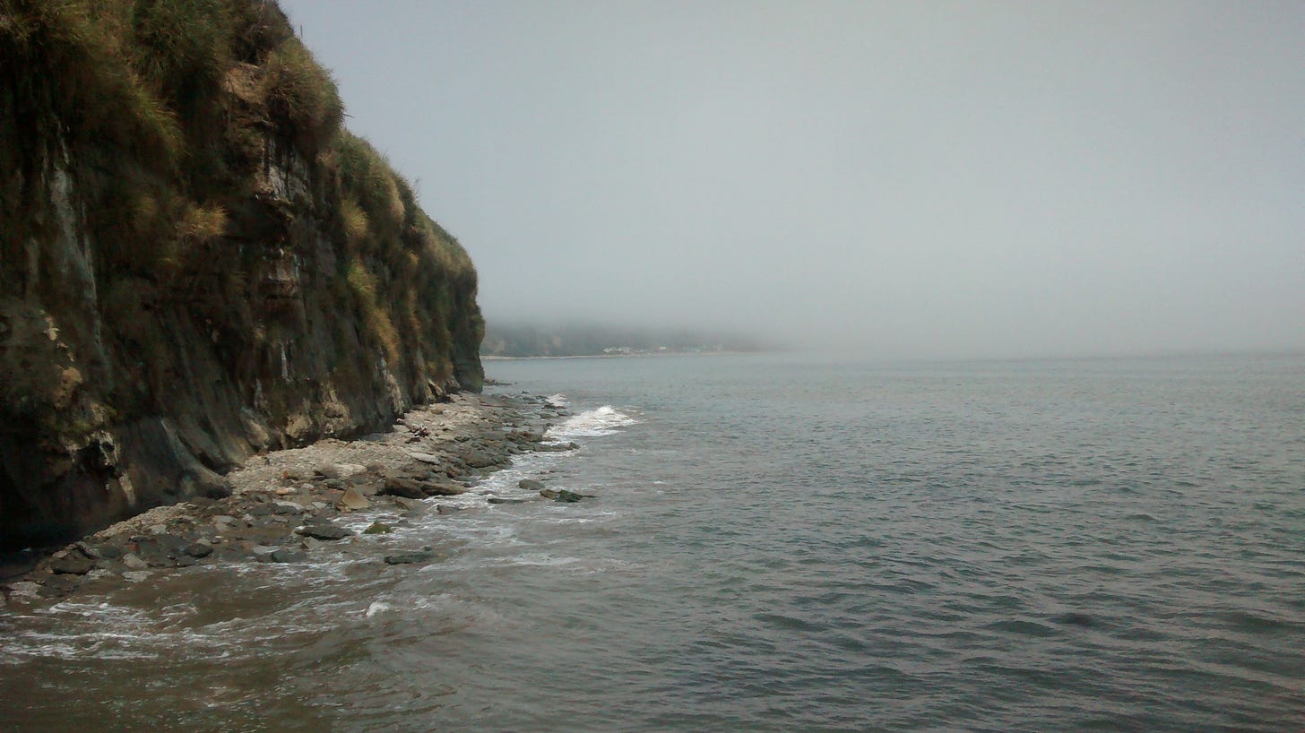 a foggy bay with mossy cliffs to the left and choppy water stretching to the blurred horizon