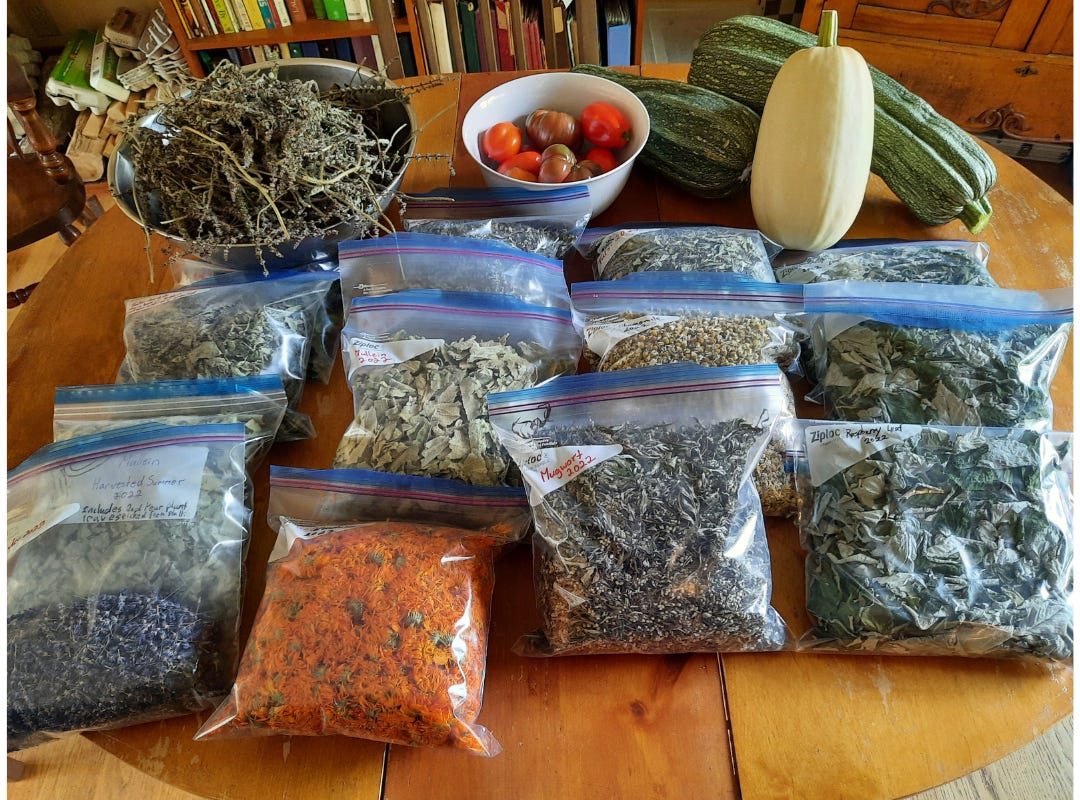 A photo of some garden bounty on a table, including bags of dried herbs labelled and dated. 