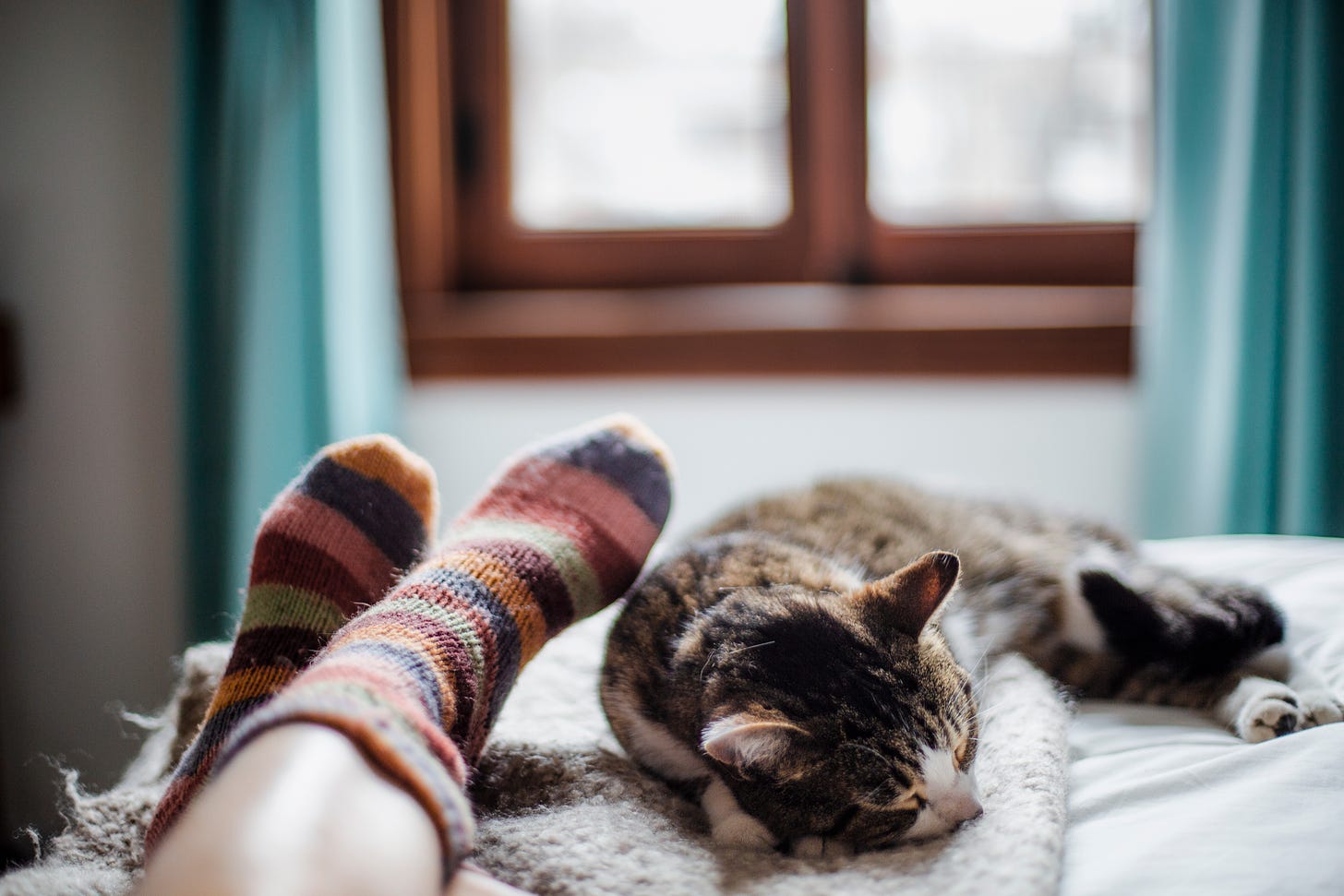 Sock covered feet, prone on a bed next to a brown striped cat