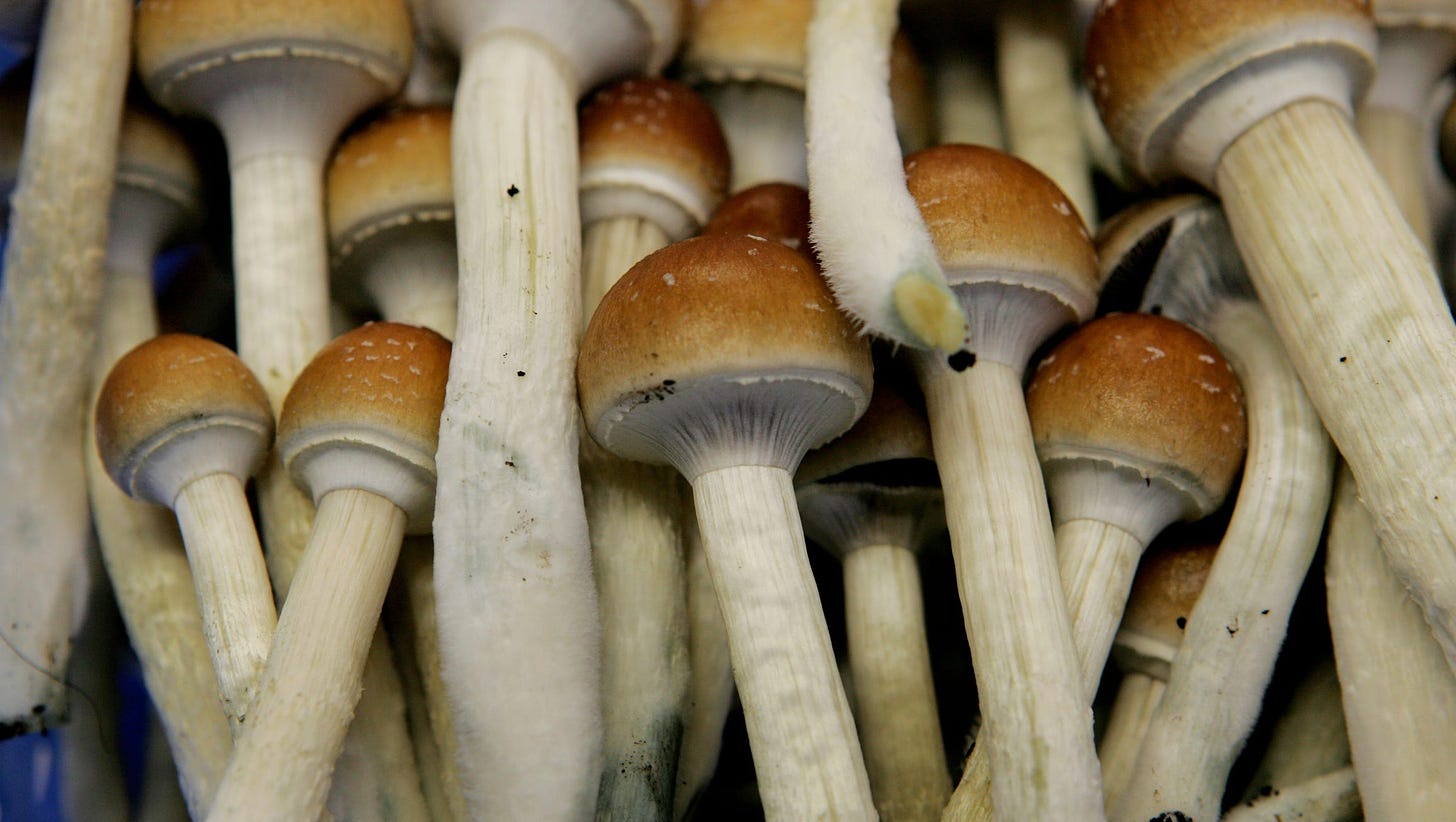Doctors could tap &#39;shrooms to relieve pain