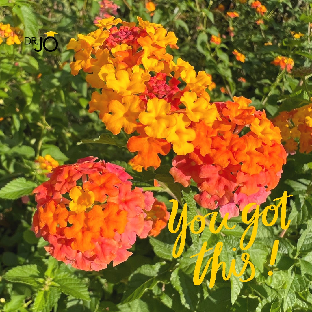 bright pink, yellow, and orange lantana in the sunshine. Text says, "You got this!"