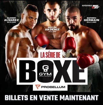 La Serie da Boxe