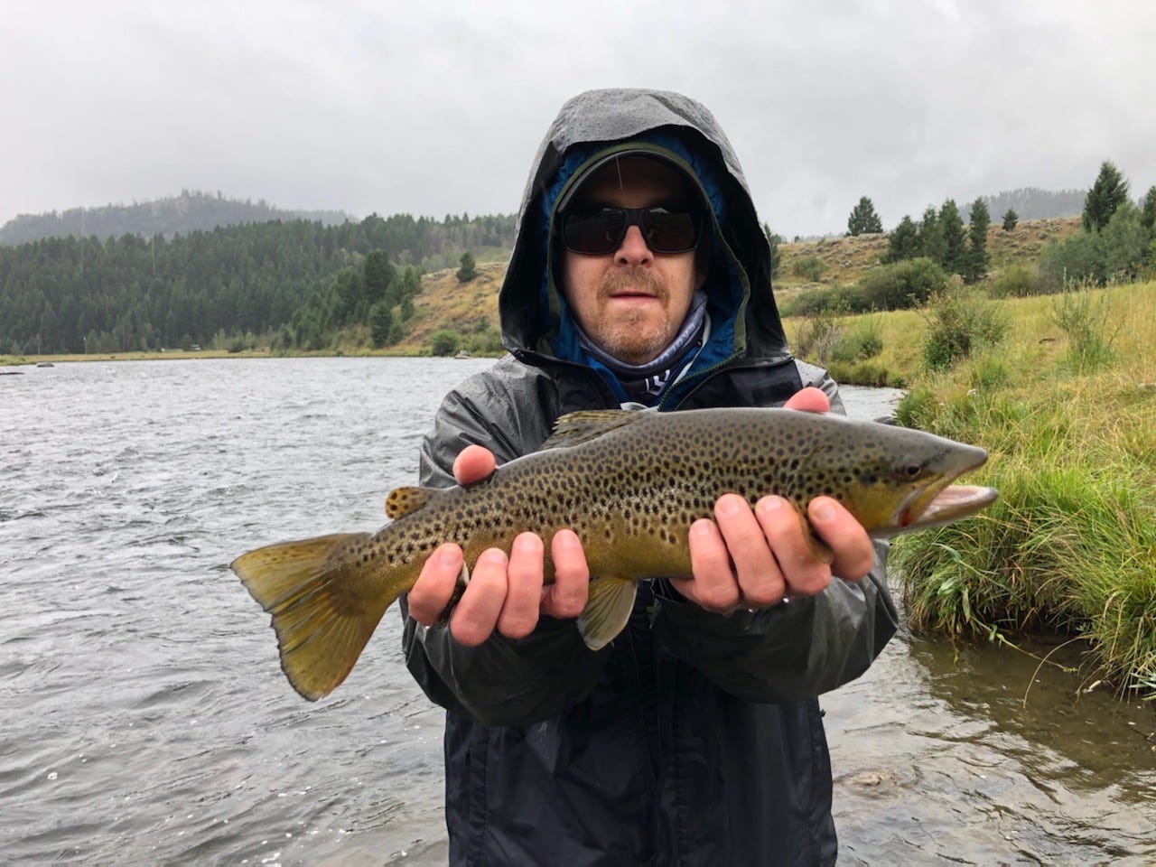 Matt Razon, brown trout, Wild Med Adventures, Madison River Bozeman MT