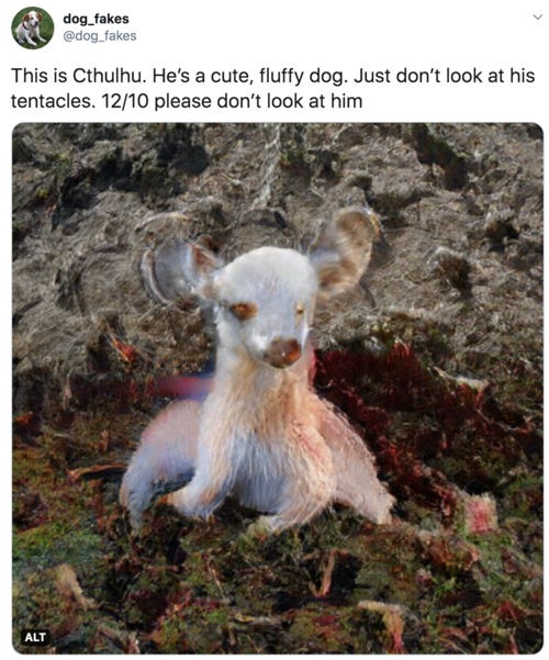 This is Cthulhu. He’s a cute, fluffy dog. Just don’t look at his tentacles. 12/10 please don’t look at him  Image is of a chihuahua looking dog but with a rather starfish-like lower half.