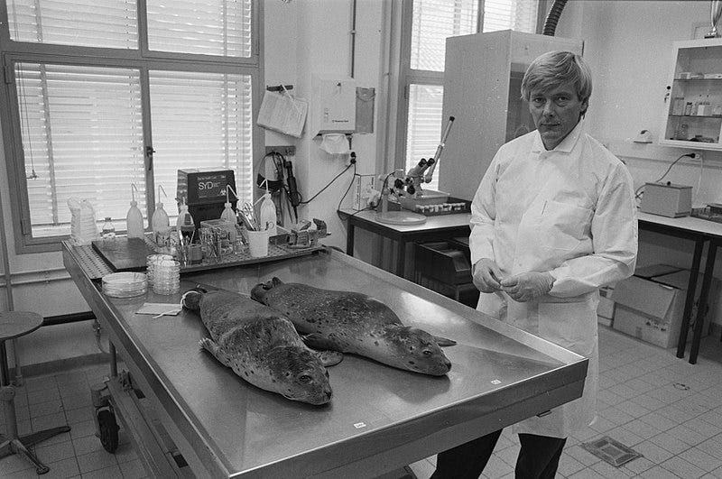 File:Dr. A. Osterhaus bij 2 dode zeehonden, Bestanddeelnr 934-4815.jpg