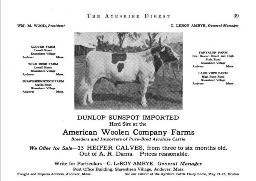 advertisement with black-and-white image of spotted cow