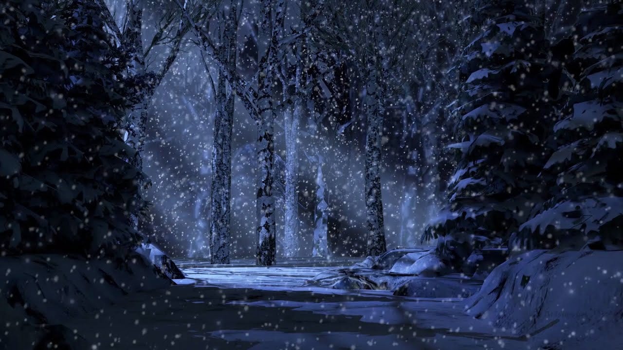 🎧Winter Forest Ambience : Snowy Winter Nights Forest Sound | [Modify  Sound] - YouTube