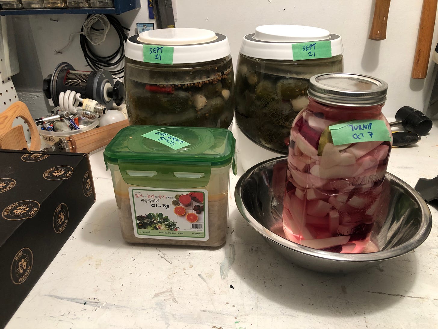 Two crocks with full-sour pickles, a large jar with pink pickled turnips, and a Korean pickling container holding sauerkraut