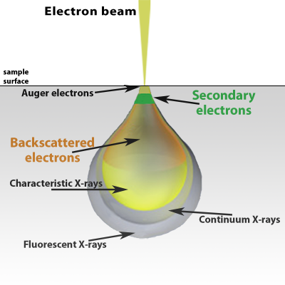 Electron beam interaction schematic