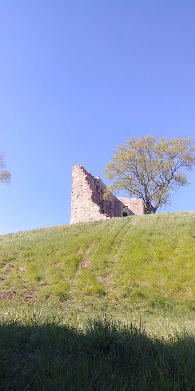 A photo of a ruined castle. All that remains is a triangular shaped wall made out of stone and a door visible on the side further from the viewer. A tree that is just beginning to bud is growing to the right of the castle. In the foreground there is a gently rolling hill with freshly cut grass. The ruins are contrasted against a bright blue sky without a single cloud.