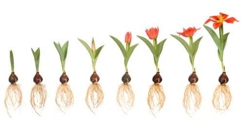 Why you need a sense of progress in your life each day | John Drury