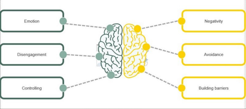 Some bullshit left brain / right brain diagram. Left brain is “Emotion, Disengagement, Controlling” while right is “Negativity, Avoidance, Building Barriers”. Neither side sounds good, does it? Best completely lobotomise all of our staff to make sure.