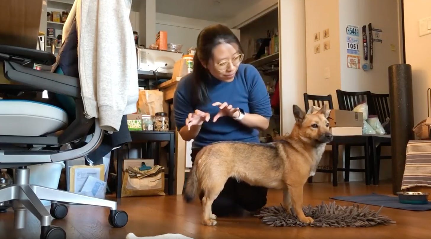 Woman in a blue sweater with her hands in claw shape, playing with a small dog that seems to be ignoring her.