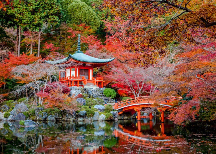 Brief Intro to Japanese Gardens | LIVE JAPAN travel guide