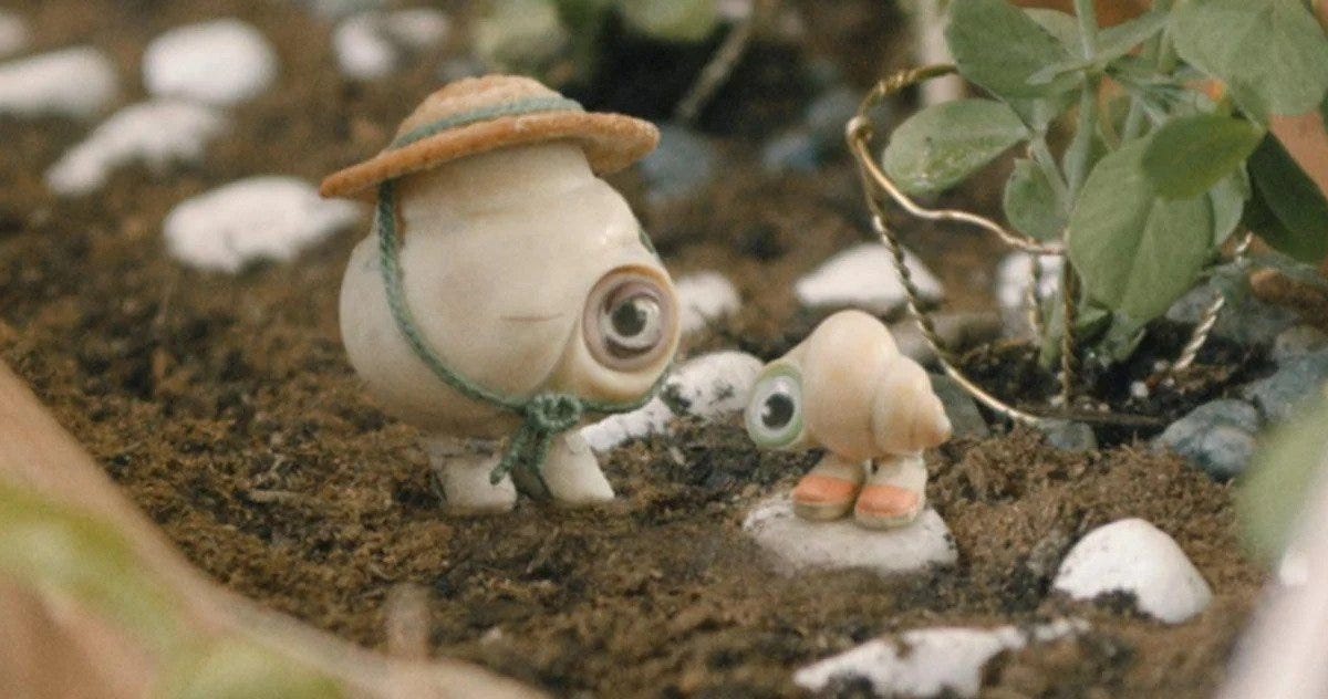 Marcel the Shell With Shoes On' Review: A24's Stop-Motion Mollusk  Mockumentary Moves Your Soul - Rendy Reviews