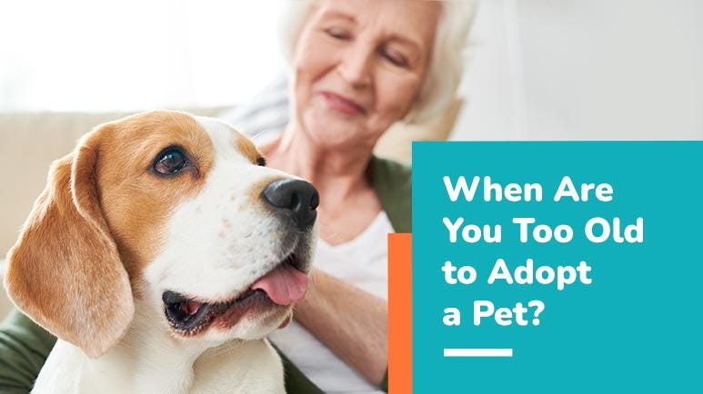 pets for seniors