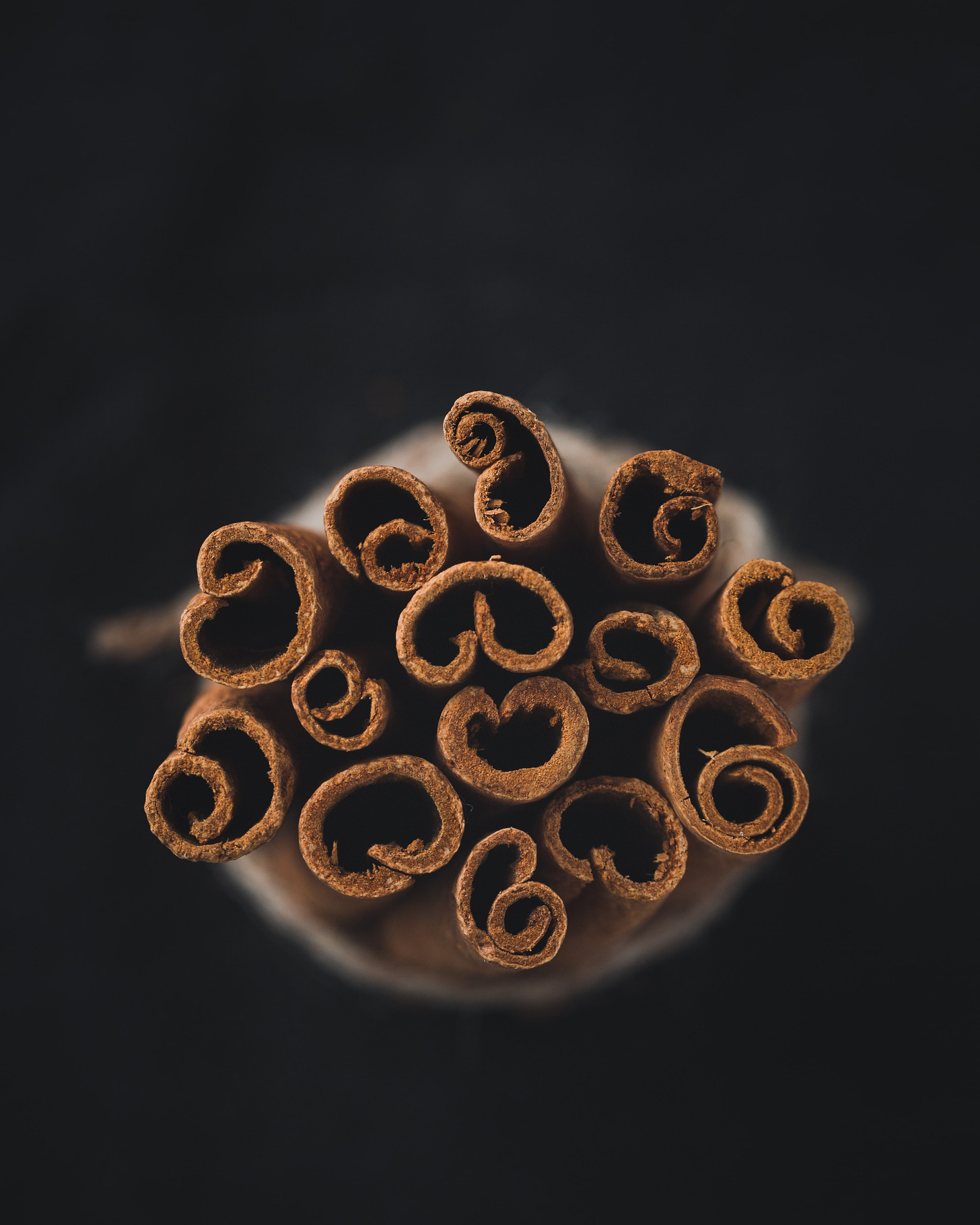 rolled up cinnamon bark standing on end