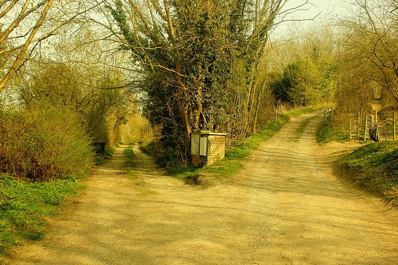 File:Fork in the road on Roughdown Common. - geograph.org.uk - 2914584.jpg