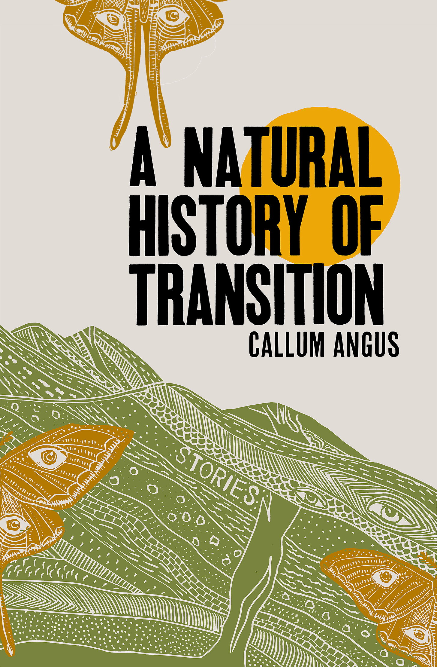 A Natural History of Transition PAPERBACK - Callum Angus ...