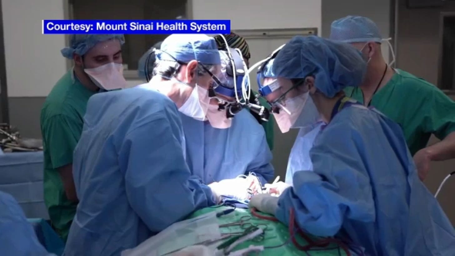 Mount Sinai surgeons perform first-ever human tracheal transplant - ABC7  New York