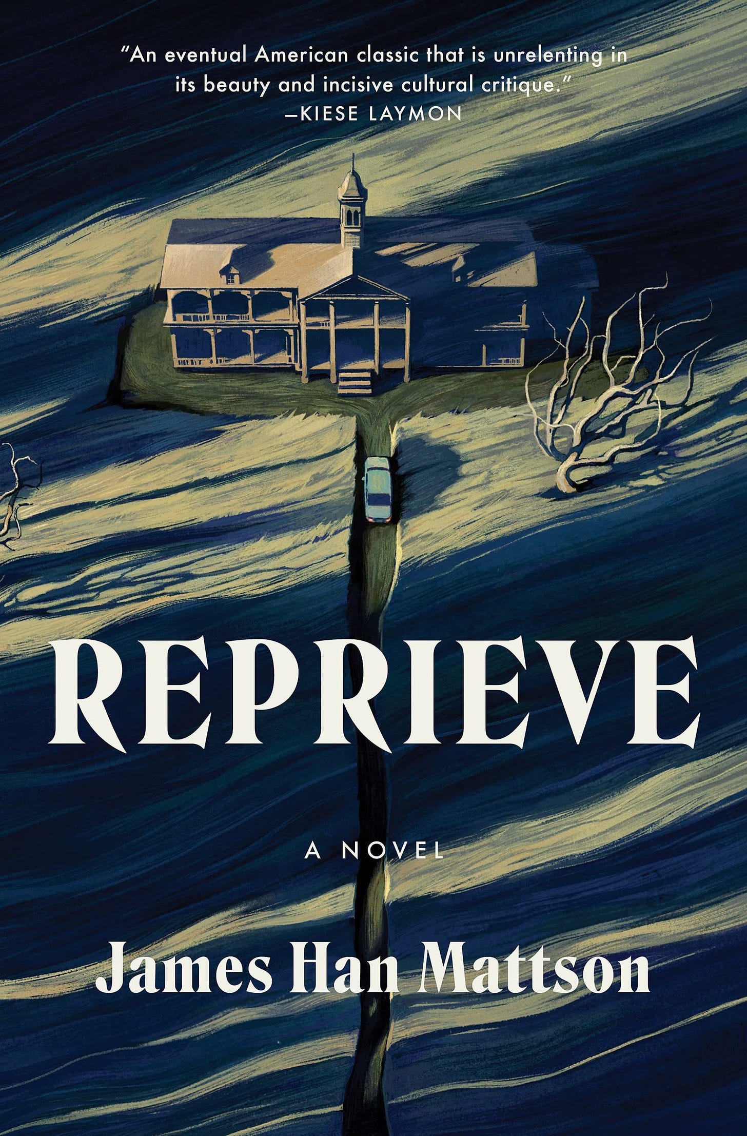 Book cover for Reprieve