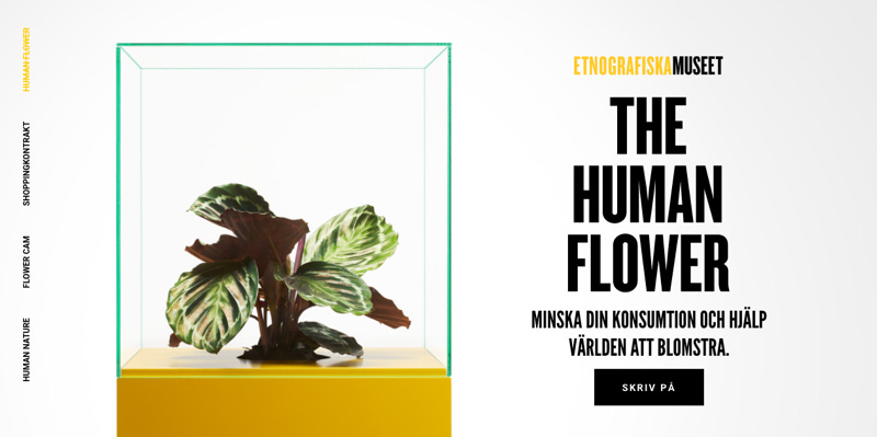 The Human Flower