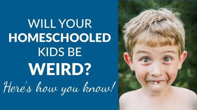 Will your homeschooled kids be weird? Here&#39;s how you know. - Homeschool to  Homeschool