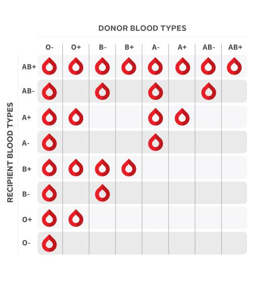 What is my blood type?