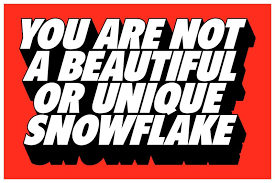 Matt Chase "You Are Not A Beautiful Or Unique Snowflake" Print – Gallery1988
