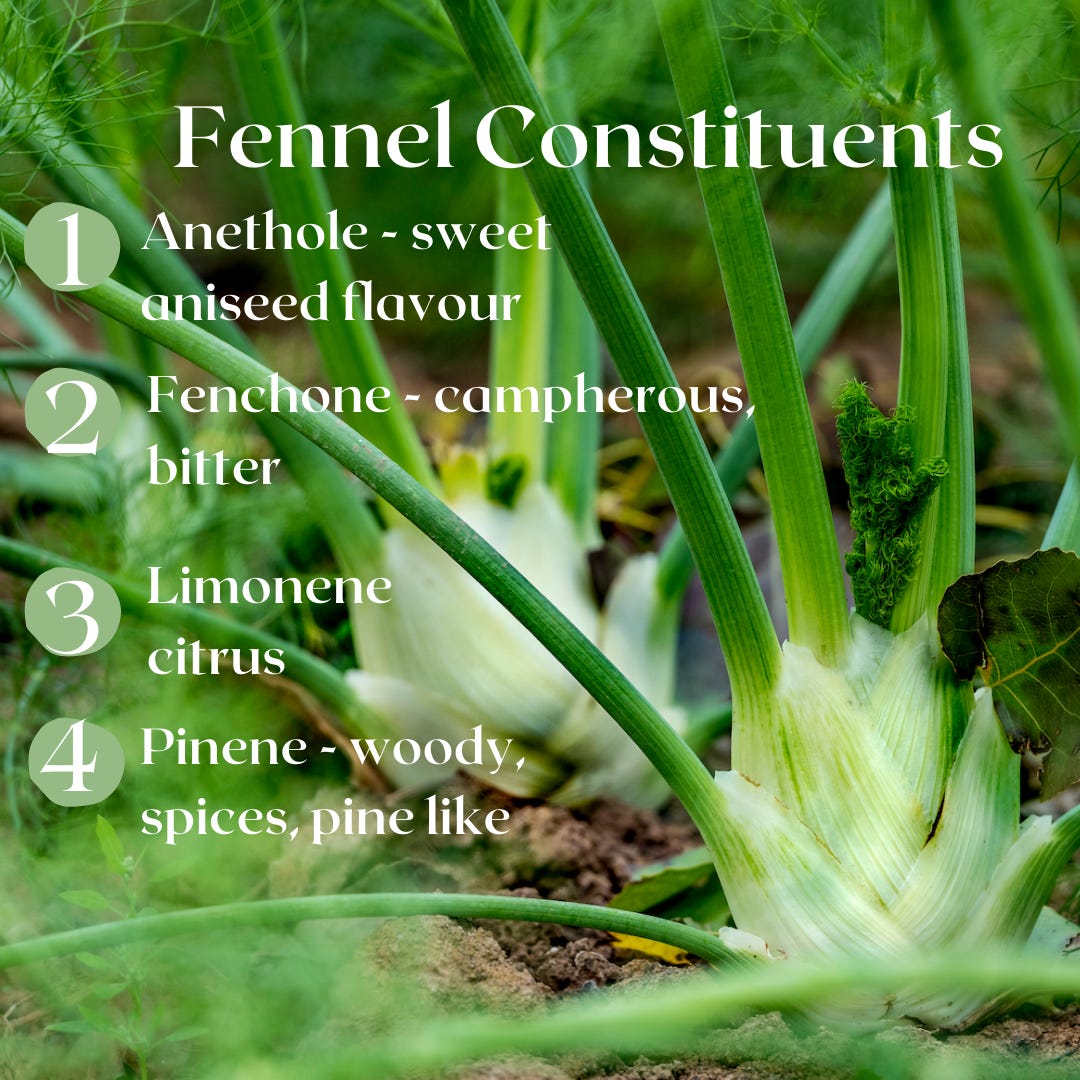 Fennels Essential Constituents