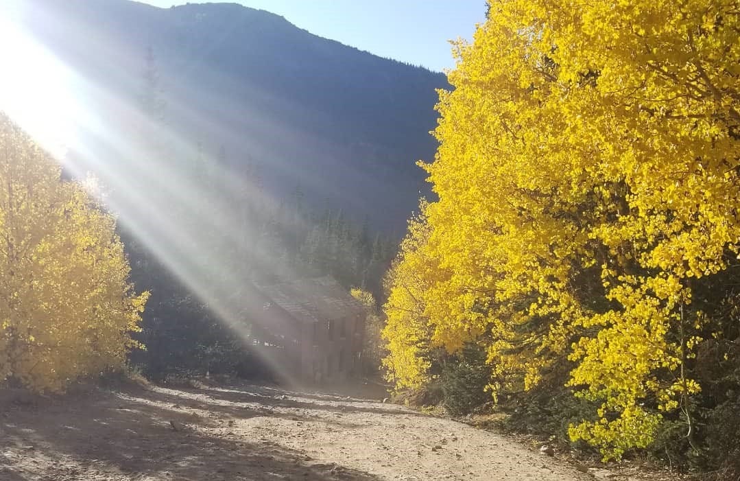 golden trees line the road up Steven's Gulch. Rays of sunlight filter in through the dust clouds