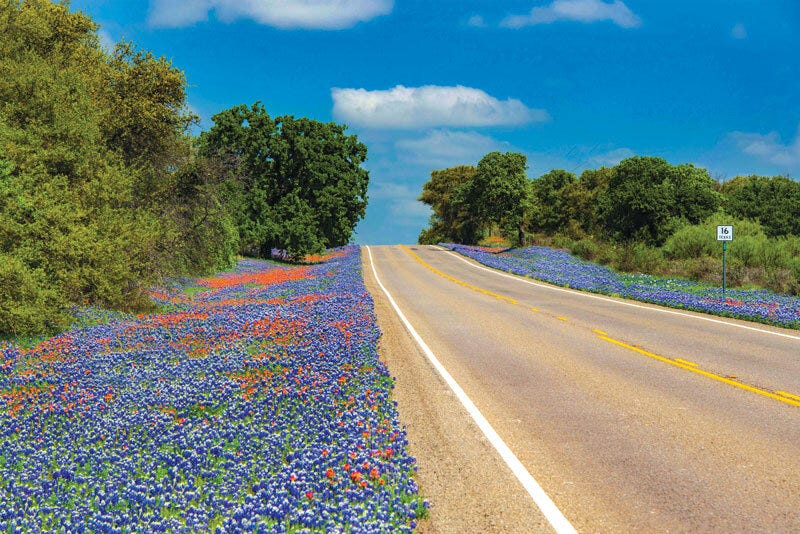Texas State Highway 16 in the Hill Country, by Mark Strackle