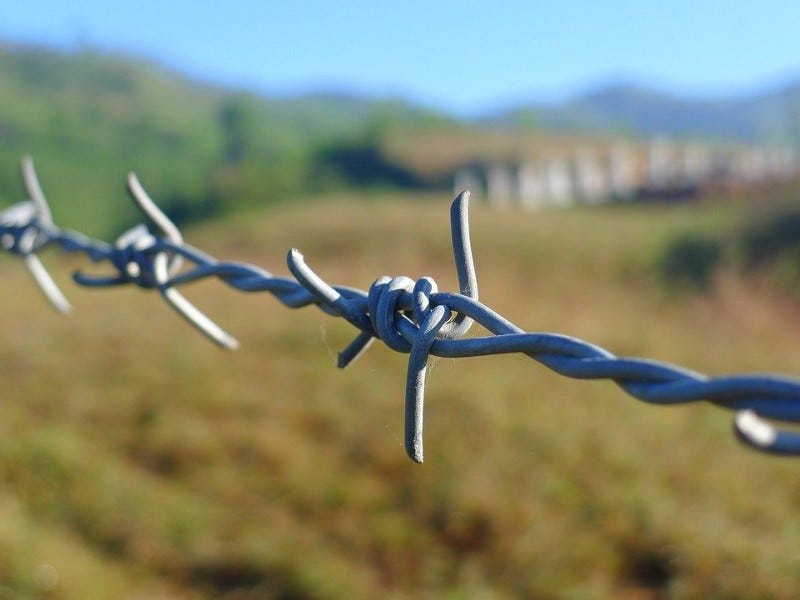 Barbed wire close up Barbed wire close up