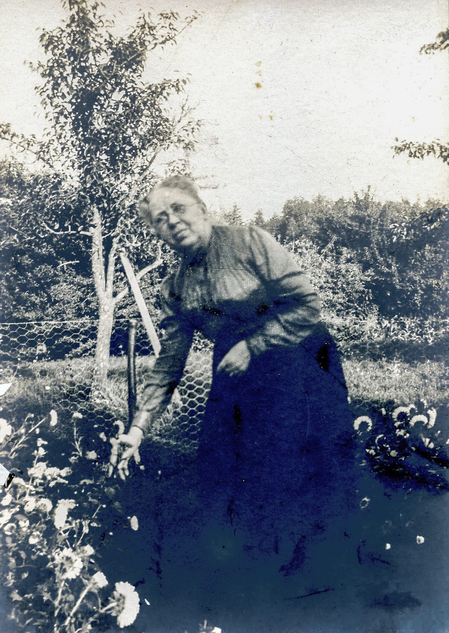 Elizabeth Gould in Garden