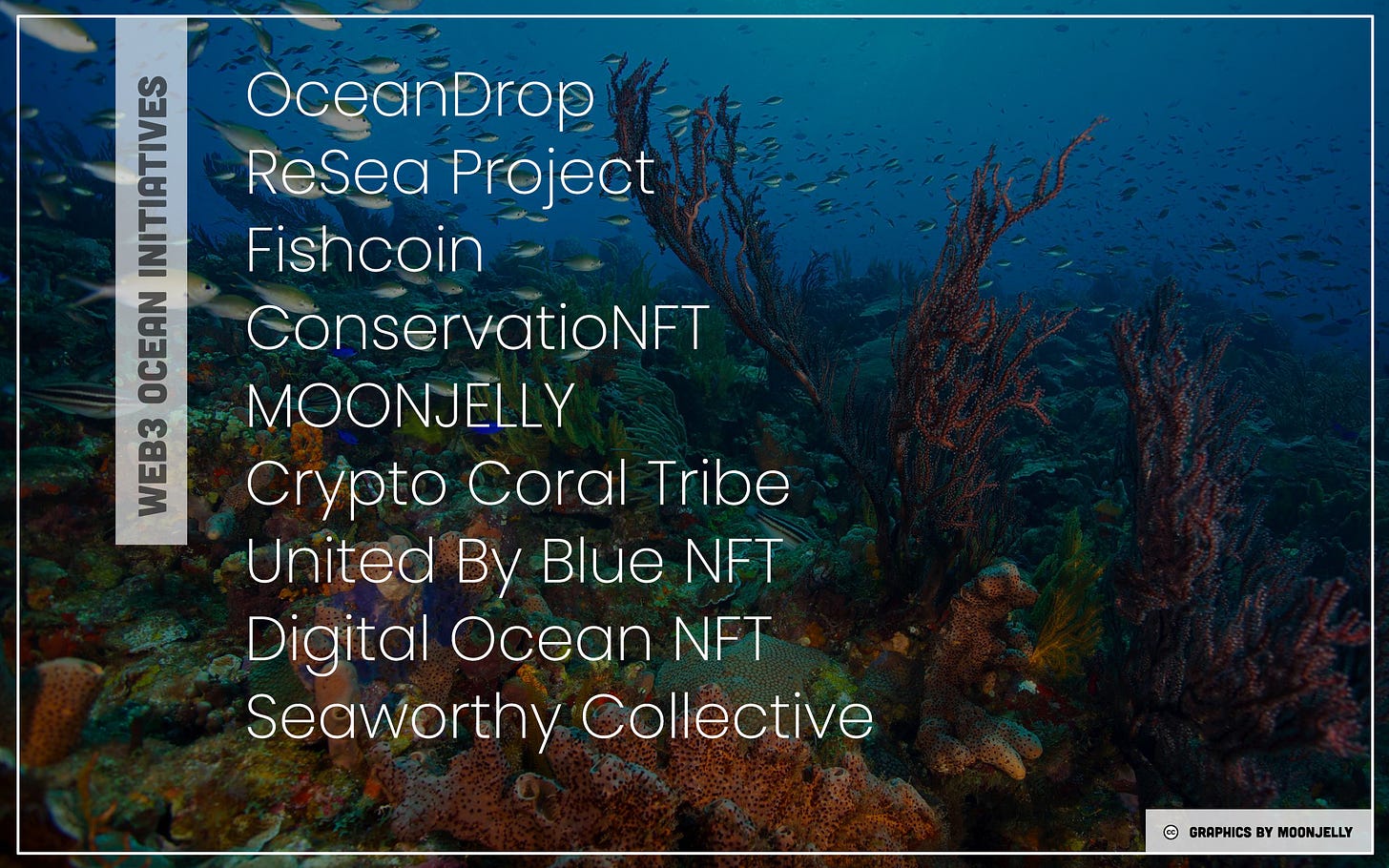 Web3 initiatives for ocean conservation.