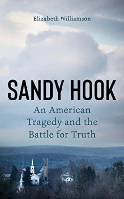 Book cover of Sandy Hook by Elizabeth Williamson