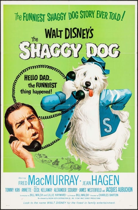 Theatrical re-release poster for The Shaggy Dog