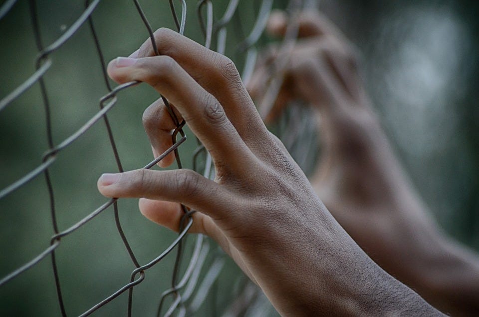 Fence, Freedom, Prison, Hands, Fingers, Closed